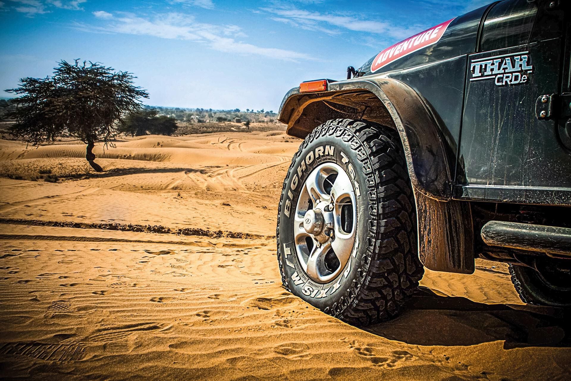 Desert recovery