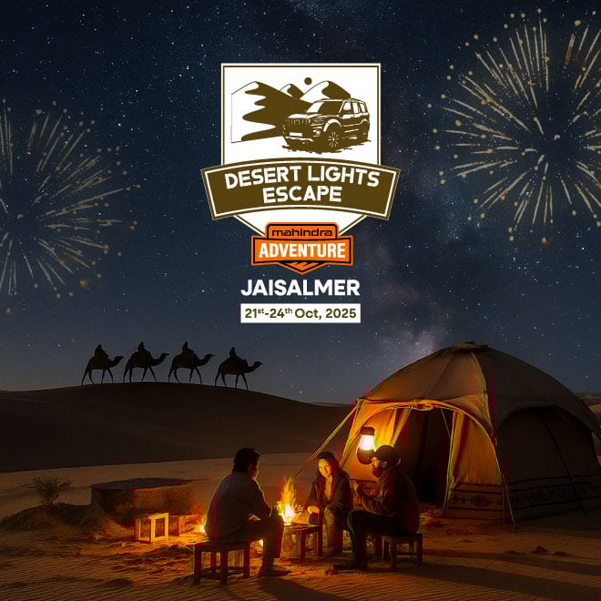 Desert Lights Escape