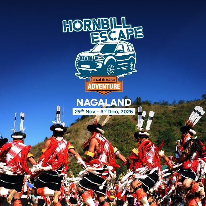 Hornbill Escape