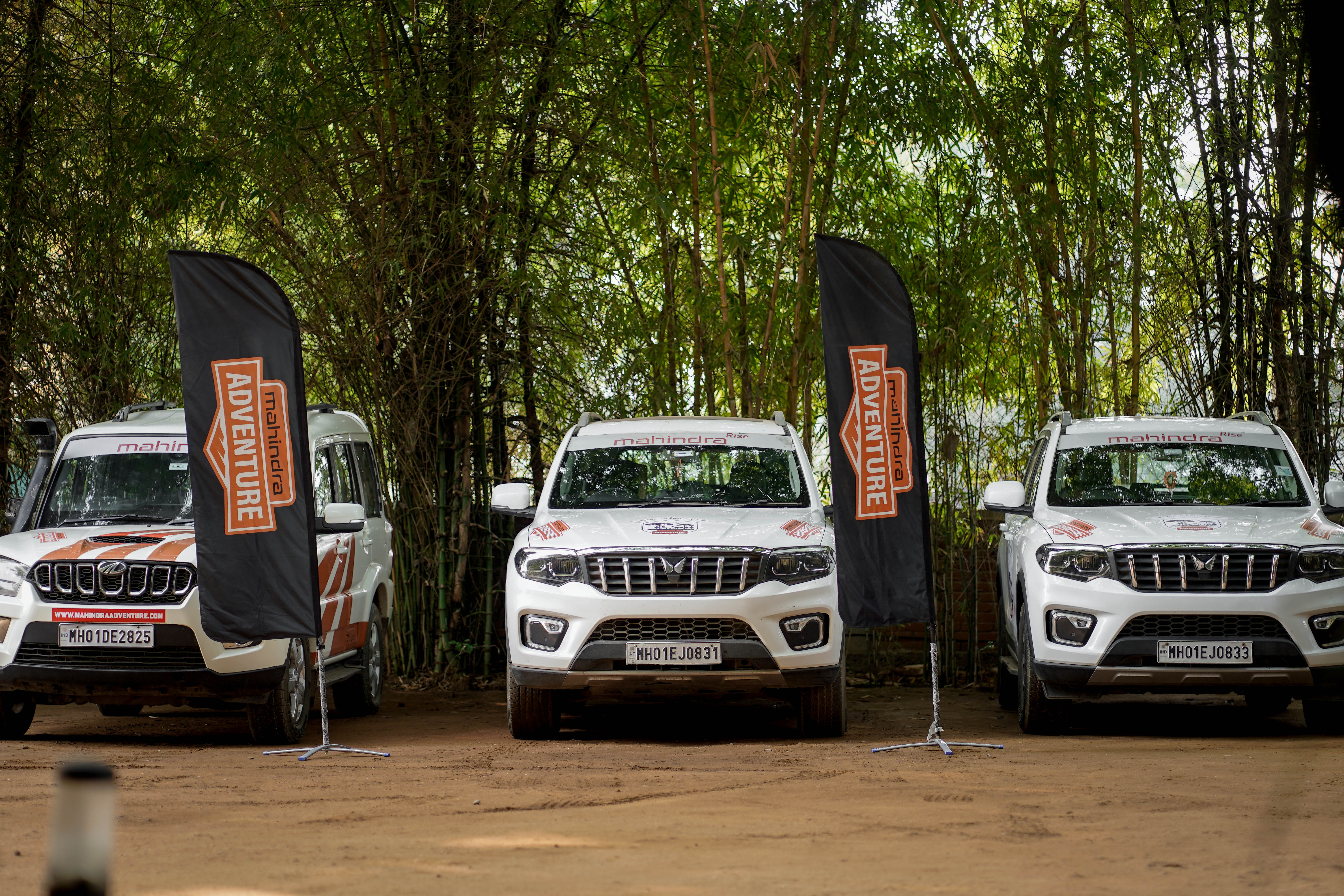 Bandhavgarh Escape