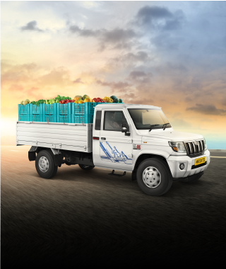 Longer Cargo Box