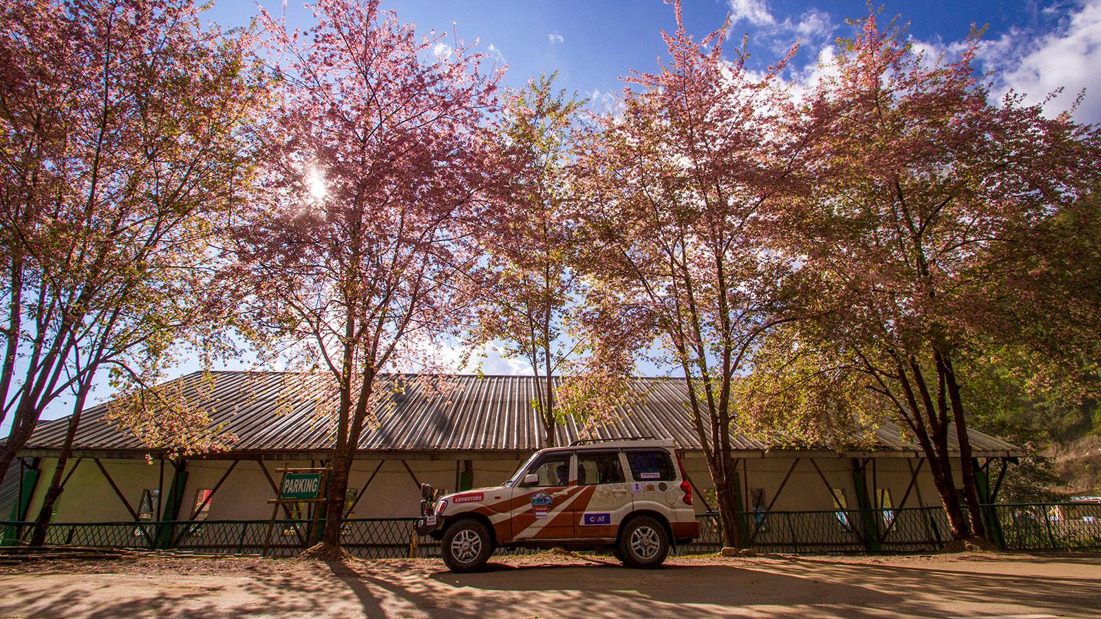 Overlanders - A journey across cultures