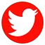 Twitter Logo
