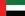 UAE Flag